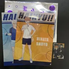 ハイキュー　マツキヨ　日向翔陽　星海光来　A4クリアファイル