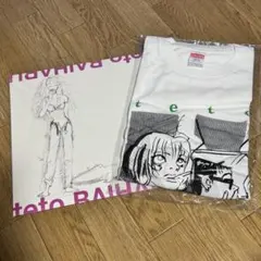 teto DVD BAIHARU