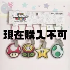 ユニバーサルスタジオジャパン スーパーニンテンドーワールド キーチェーンセット