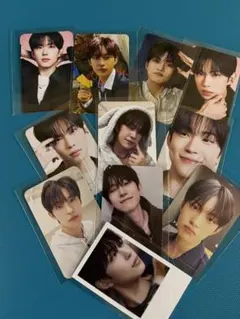 ald1 ゴヌ　11枚セット