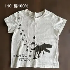 恐竜　Tシャツ 110のサムネイル
