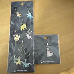 ポケモンセンター限定　全国ずかんメタルチャーム／イーブイ進化 ブイズ9個セット