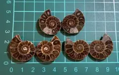 noemie様 リクエスト 2点 まとめ商品