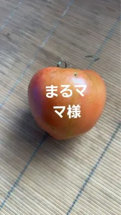 まるママ様専用