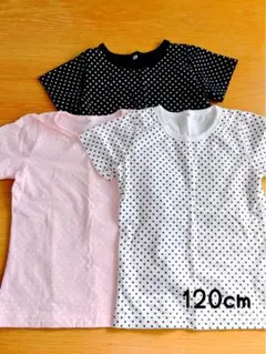 Item thumbnail for item d773d188-77f4-41c1-846e-b59225c3c3f3