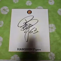 Item thumbnail for item ffd18c8a-3fcc-46a4-9321-c52c8bba0206