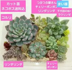 まい様 リクエスト 2点 まとめ商品