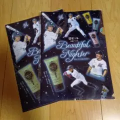 Item thumbnail for item edeae76e-3e93-454a-9ffb-ab2a4f4d2bd0