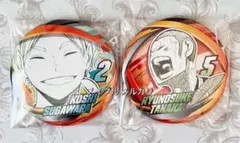 ハイキュー 菅原孝支 田中龍之介 コレクション缶バッジ ファンパーク