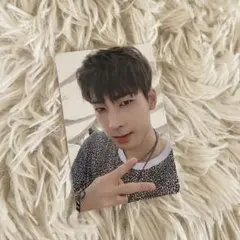 SEVENTEEN セブチ An Ode ウォヌ トレカ