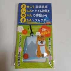 Item thumbnail for item 987d8b14-dcae-4d9c-a358-c77d5b2456f8