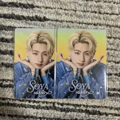 2026年最新】猪狩蒼弥 プロフィールカードの人気アイテム - メルカリ