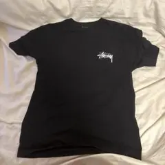 STUSSY Dice Tシャツ