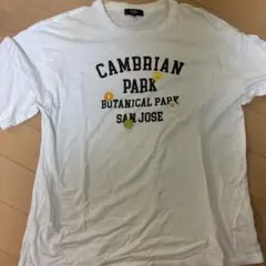 beams メンズtシャツのサムネイル