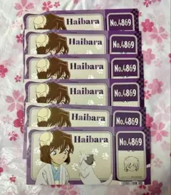 S*a様 名探偵コナン　灰原哀　アニメイトフェア　6点セット