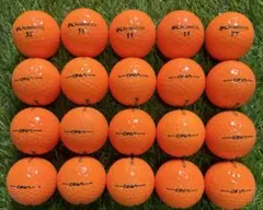 Item thumbnail for item bf811639-7ba9-4a7e-ae3f-aee32ba4c54b