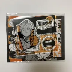 ハイキュー 菅原孝支 アクリルXフィギュア バースデイ 2023 缶バッジ