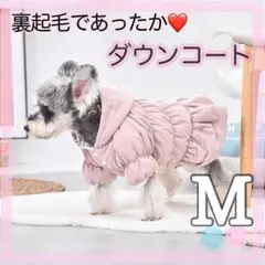 Item thumbnail for item 5cc09bae-fe42-4643-b0ae-92614dbae44e