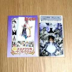 D.Gray-man　箔入りアクリルカードコレクション　リナリー　ミランダ