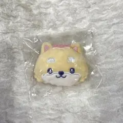 JOCHUM ジェオチャム　シークレットブローチ　まめちぃ