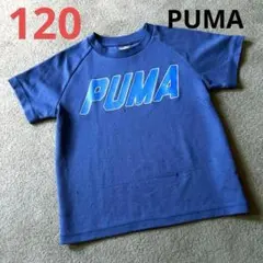 ☆120 PUMA ネイビー Tシャツ ジャージ ロゴ スポーツ 運動 速乾性☆のサムネイル