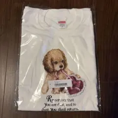 新品Supreme Dust Tee ホワイト　M