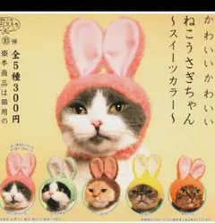 ねこのかぶりもの ねこうさぎちゃん