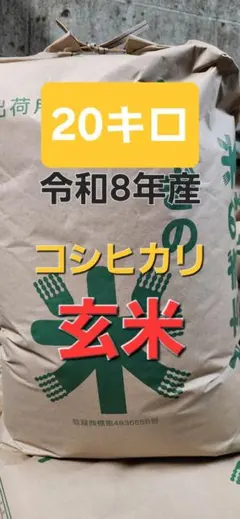 新米コシヒカリ20kg茨城県産◉玄米 - メルカリ