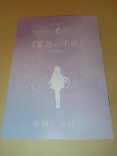 Summer Pockets　画集　アートワークスブック Summer Pockets 画集 アートワークスブック Summer Pockets 画集