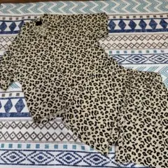 レオパード柄 半袖 ショートパンツ セットアップ