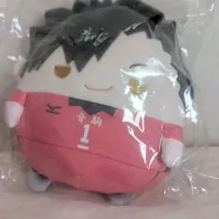 くじメイト ぬいくじ ハイキュー!!C賞 黒尾鉄朗