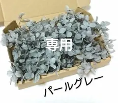 よろりん様　専用　プリザーブドフラワーアジサイ (パールグレー）