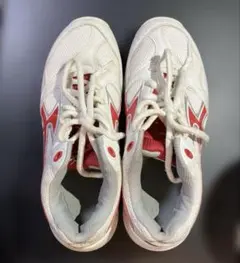 体育館シューズ 体育器具