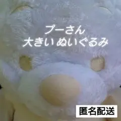 くまのプーさん プラチナホワイト BIGぬいぐるみ 100周年記念