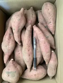 さつまいも 20kg 後藤桂一郎様専用 安納芋 種子島産3 2026年最新】イモの