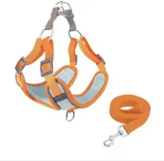 Item thumbnail for item cd3fb6a9-e549-4ce4-a135-172b13963ffa