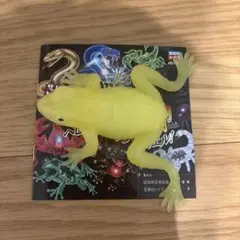 新商品宝島社トイズ マダラヤドクガエル