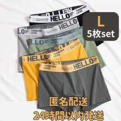 ボクサーパンツ L 5枚セット 伸縮 通気性 メンズ 下着 インナー 洗い替え