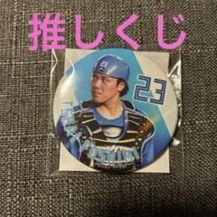 Item thumbnail for item d1d63107-2ed2-42b2-aaed-7e855007fe9f