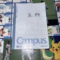 Gao2018様 リクエスト 3点 まとめ商品