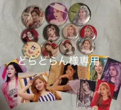 【即日発送可】twice Dahyun 缶バッジ 11個セット　おまけ付き