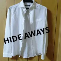 Item thumbnail for item 3411d2fb-e488-42cc-b725-83108dacabe7