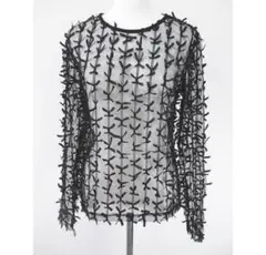 ZARA ブラック 透け感 長袖トップス