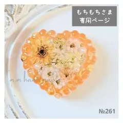 №261 もちもち様専用