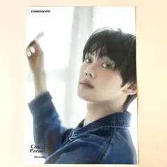 ゼベワン cinema paradise タワレコ フライヤー ギュビン