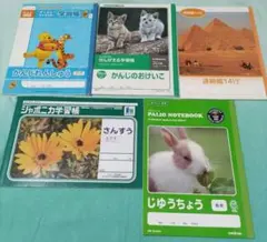 ★学習ノート　5冊　低学年用