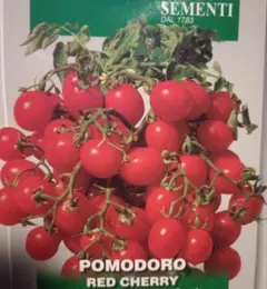 △□○工房様 リクエスト 2点 まとめ商品