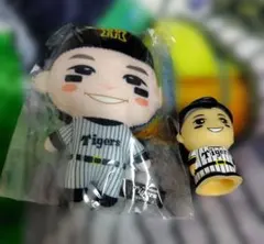 森下翔太グッズセット