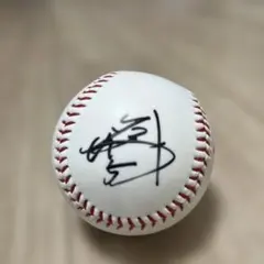 2026年最新】西武 ライオンズ サインの人気アイテム - メルカリ