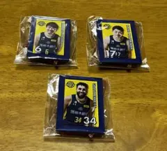 Item thumbnail for item b736600f-f004-495f-9696-41aba18c1a58